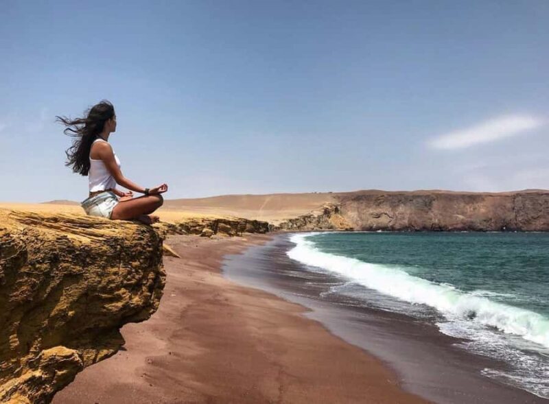 From Lima: Nazca Lines and Ballestas Islands Day Trip - The Sum Up