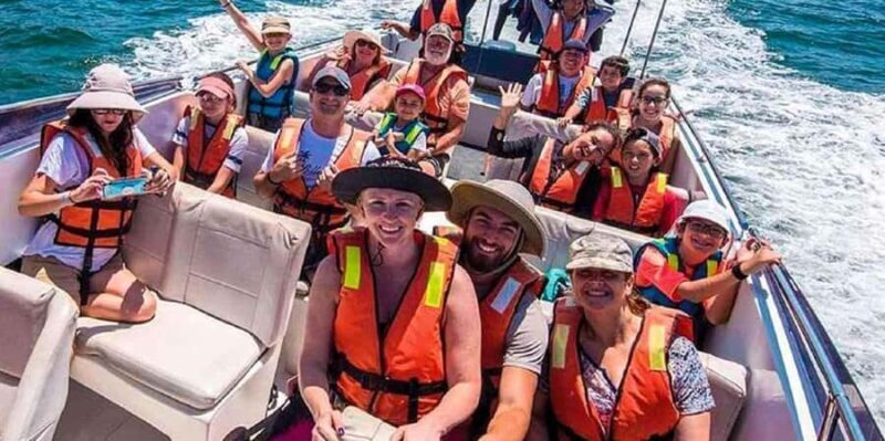 From Lima: Palomino Islands - Callao Bay Excursion Half day - Key Points