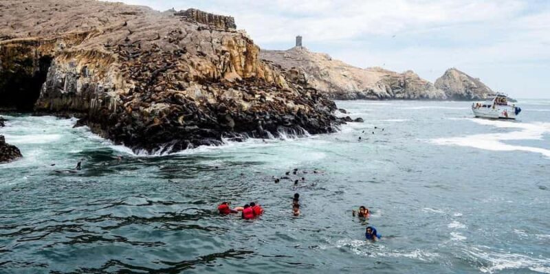 From Lima: Palomino Islands - Callao Bay Excursion Half day - Why This Tour Is Worth It
