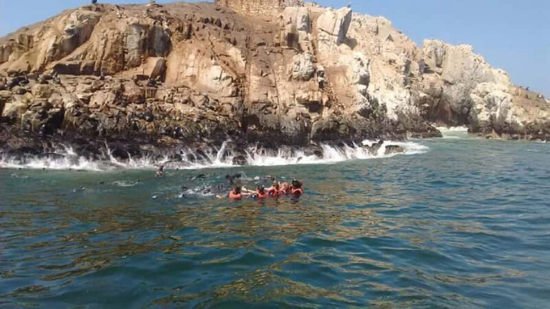 From Lima: Palomino Islands Speedboat Tour and Sea Lion Swim - An In-Depth Look at the Palomino Islands Speedboat Tour