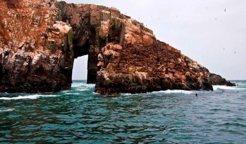 From Lima: Palomino Islands - FAQs