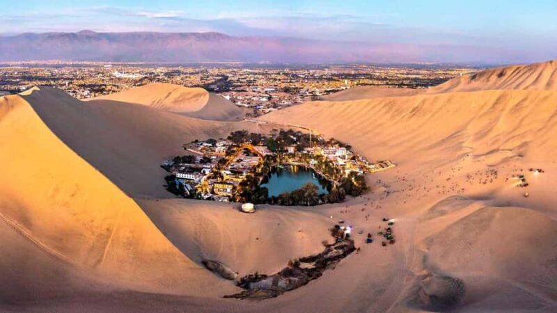 From Lima: Paracas and Huacachina Full-Day Bus Tour - Exploring the Ica Region’s Best in a Single Day