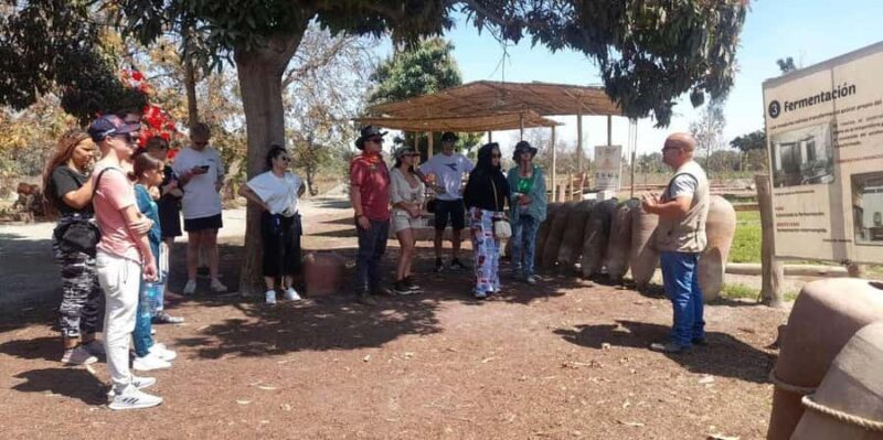 From Lima: Paracas and Huacachina Full-Day Bus Tour - FAQ