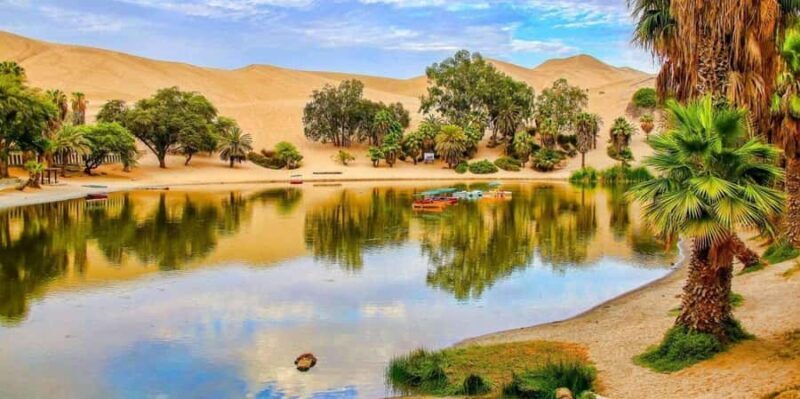 From Lima: Paracas and Huacachina Guided Desert Oasis Trip - Final Thoughts