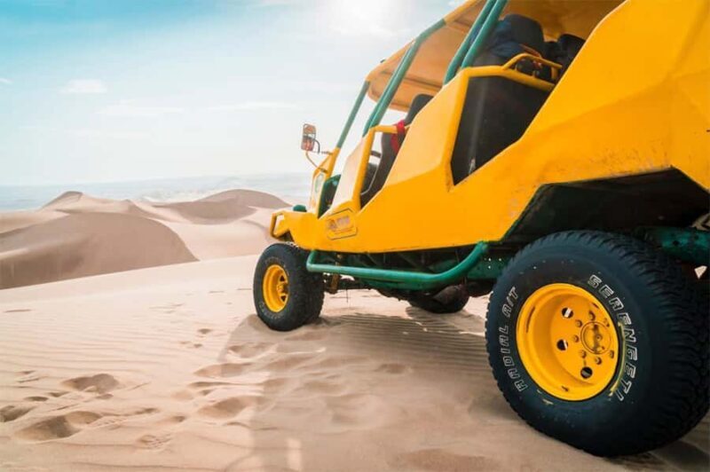 From Lima: Paracas and Huacachina Oasis Full Day Guided Tour - From Lima: Paracas and Huacachina Oasis Full Day Guided Tour — A Deep Dive