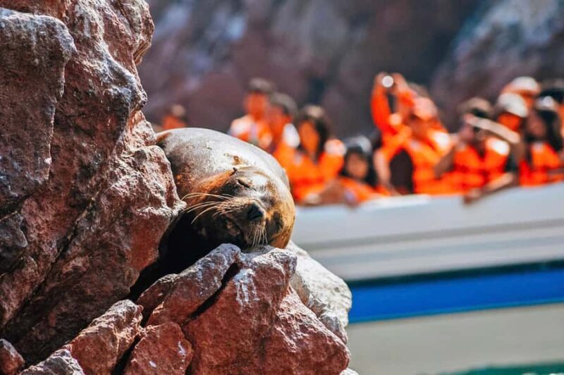 From Lima: Paracas and Huacachina Oasis Full Day Guided Tour - Key Points