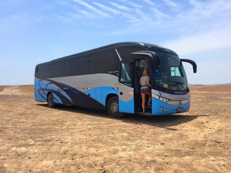 From Lima: Paracas and Huacachina Oasis Full Day Guided Tour - Final Thoughts