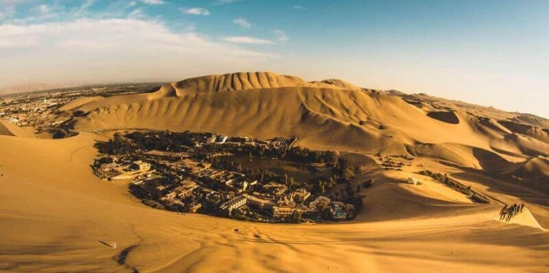 From Lima: Paracas, Ballestas Islands, and Huacachina Day - Key Points