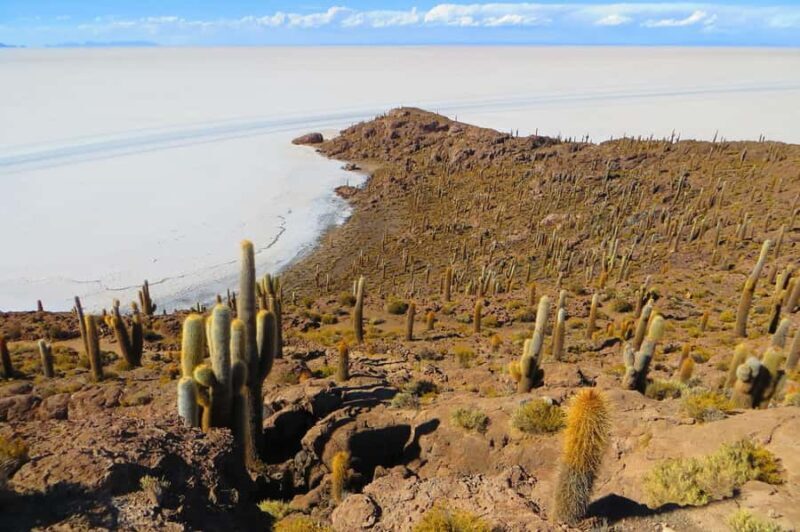 From Lima-Peru: Uyuni Salt Flats 4 days 3 nights - Final Thoughts