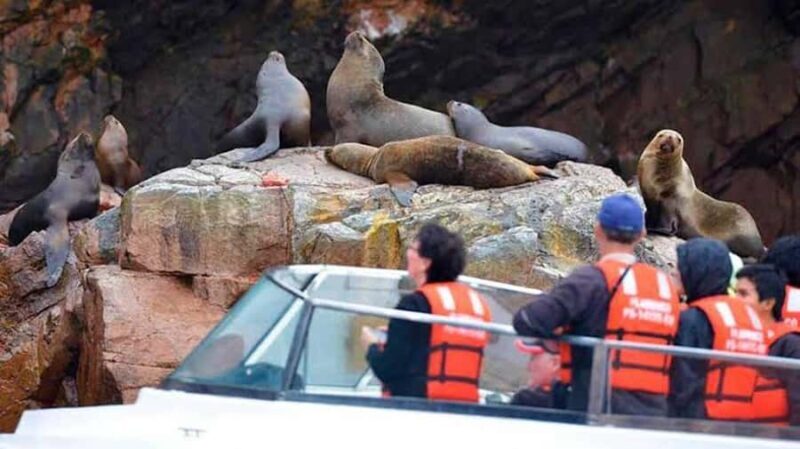 FROM LIMA TOUR OASIS HUACACHINA BUGGIES,PARACAS,PISCO AND WINES,PENGUINS. - Why This Tour Is Worth It