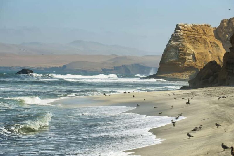 From Lima: Visit Paracas, Ballestas Islands, Huacachina and Vineyard in Ica. - Key Points