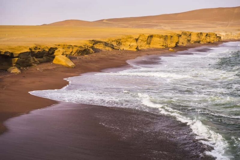 From Lima: Visit Paracas, Ballestas Islands, Huacachina and Vineyard in Ica. - Exploring the Itinerary in Detail