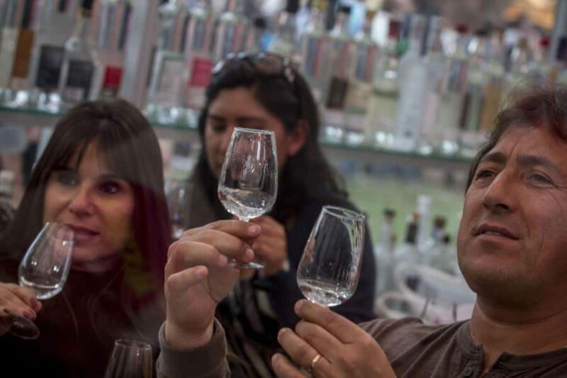 From Lima: Visit Paracas, Ballestas Islands, Huacachina and Vineyard in Ica. - Who is this tour best suited for?