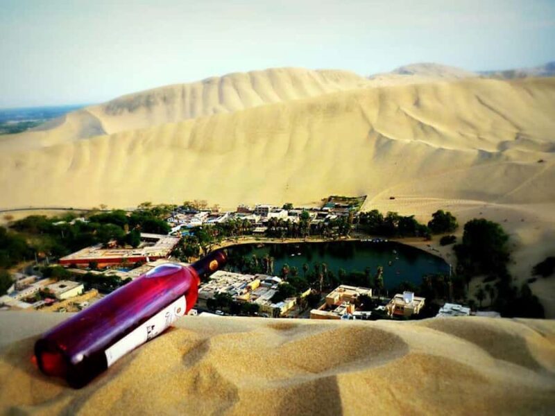 From Lima:Paracas Ballestas Islands and Ica Oasis 1 day Tour - Early Morning Pickup & Transportation