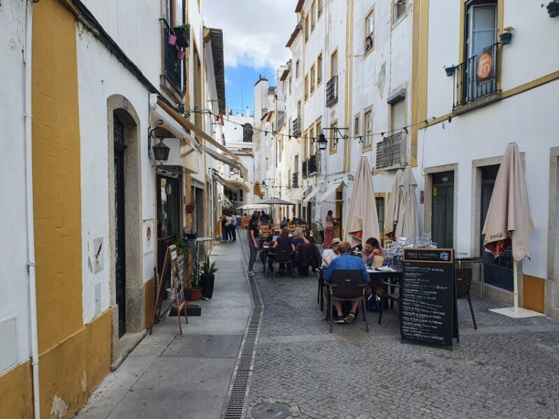 From Lisboa: Evora and Monsaraz Full-Day Tour - Who Should Consider This Tour?