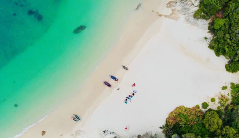 From Lisbon: Arrábida Natural Park Kayak Tour with Lunch - Key Points