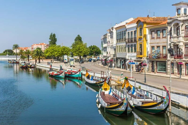 From Lisbon: Aveiro, Boat Ride, Costa Nova & Coimbra Private - An In-Depth Look at the Tour Experience