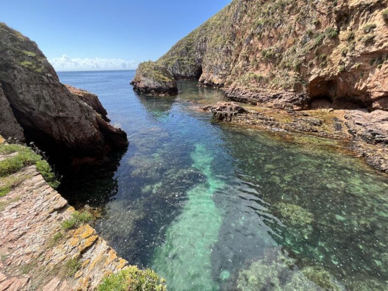 From Lisbon: Berlenga Islands by Boat, Peniche & Óbidos - Key Points