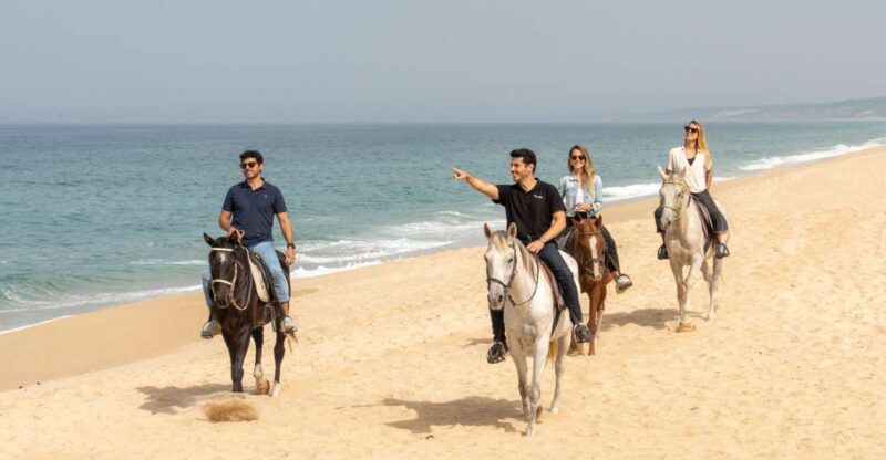 From Lisbon: Comporta and Setúbal Trip with Horseback Riding - An In-Depth Look at the Experience