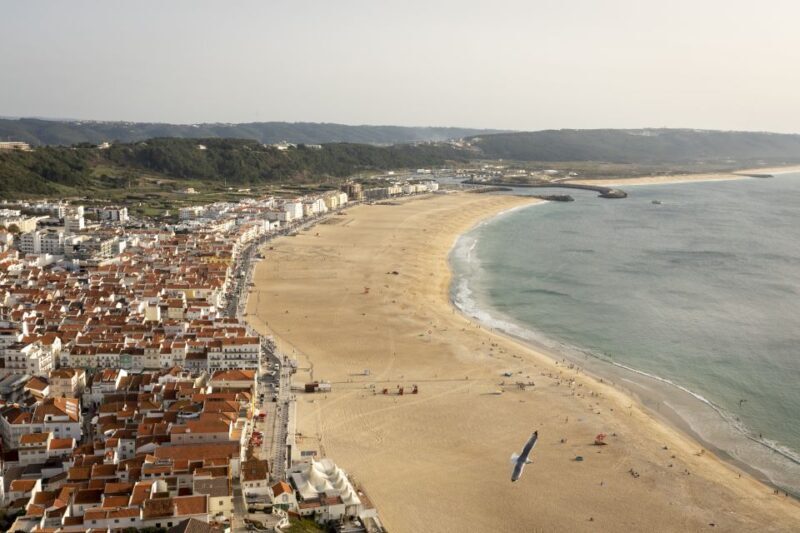 From Lisbon: Day Trip to Porto, Óbidos, and Nazaré - Final Thoughts
