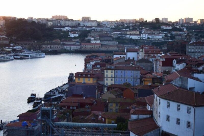 From Lisbon: Douro Valley and Porto Town Experience - Final Thoughts