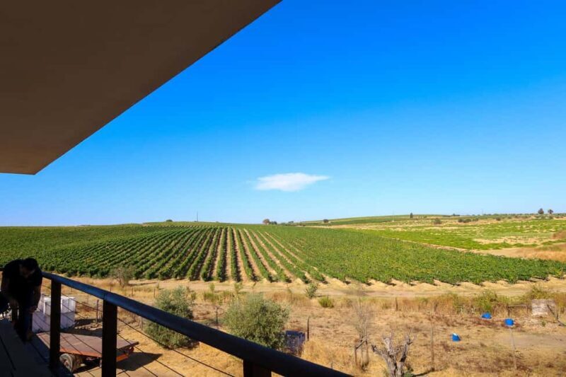 From Lisbon: Évora, Chapel of Bones & Alentejo Wine Tour - FAQ