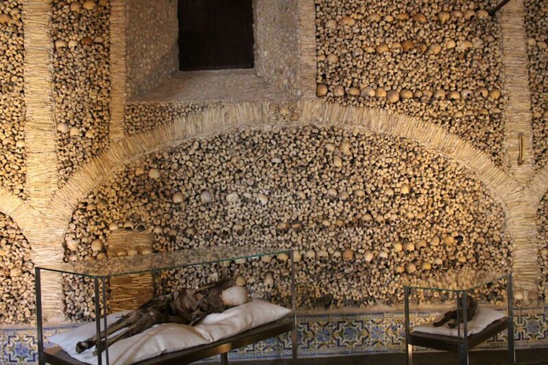 From Lisbon: Évora Private Historic Discovery Tour - An In-Depth Look at the Évora Private Discovery Tour