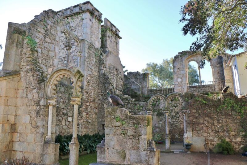 From Lisbon: Évora Private Historic Discovery Tour - Why This Tour Offers Great Value