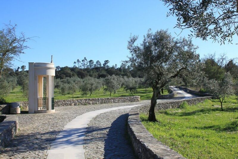 From Lisbon: Fatima Sanctuary Private Day Tour - Who Would Enjoy This Tour?