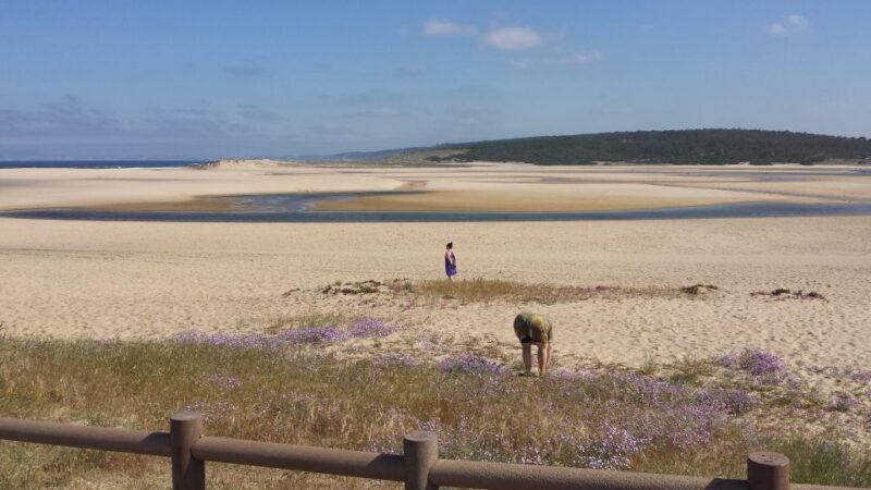 From Lisbon: Half-Day Arrábida Tour w/ Transfers - Discovering Arrábida from Lisbon: A Practical Guide