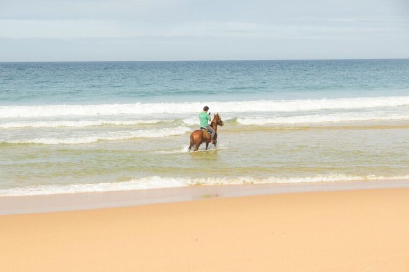 From Lisbon: Horseback Riding on Comporta Beach - The Sum Up