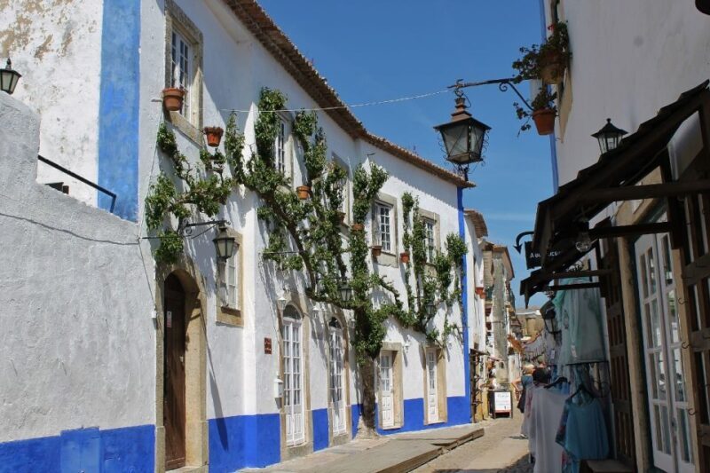 From Lisbon: Óbidos and Mafra Palace Private Tour - Who Will Enjoy This Tour?