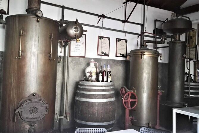 From Lisbon: Palmela-Setúbal Wine Tasting Tour (40kms of Lisbon) - Discovering the Charm of Palmela and Setúbal