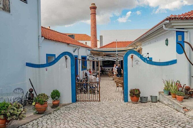 From Lisbon: Palmela-Setúbal Wine Tasting Tour (40kms of Lisbon) - Final Thoughts: Who Will Love This Tour?