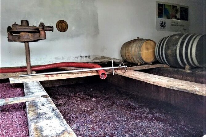 From Lisbon: Palmela-Setúbal Wine Tasting Tour (40kms of Lisbon) - FAQ