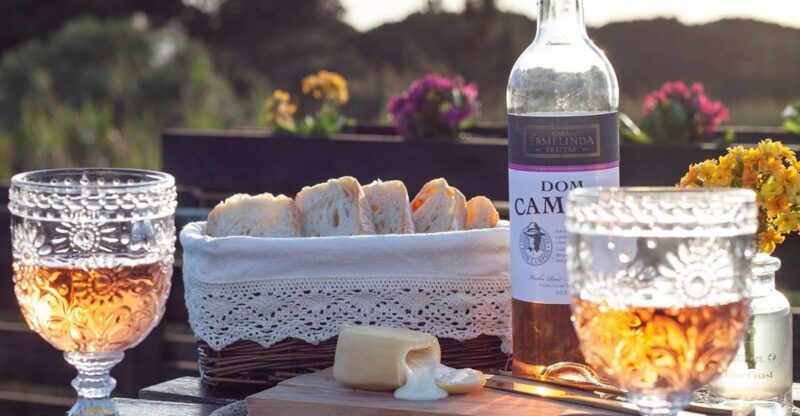 From Lisbon: Private Wine Tour with Wine & Cheese Tasting - A Deep Dive Into the Experience