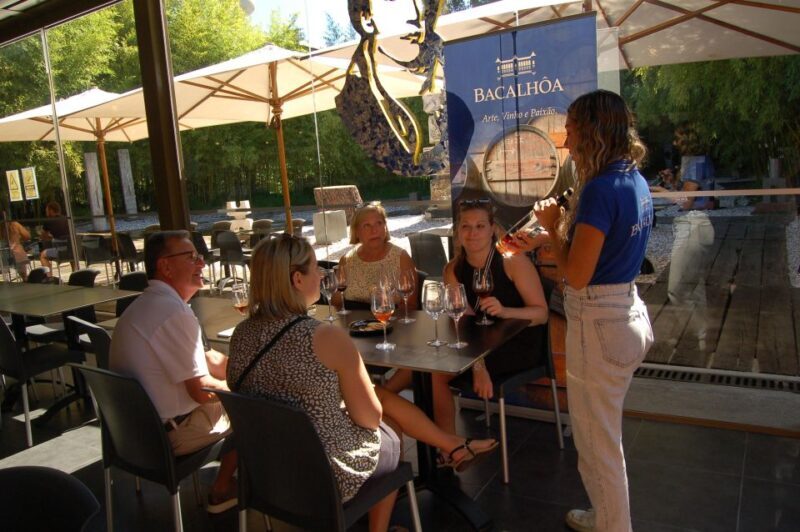 From Lisbon: Private Wine Tour with Wine & Cheese Tasting - Who is This Tour Best For?
