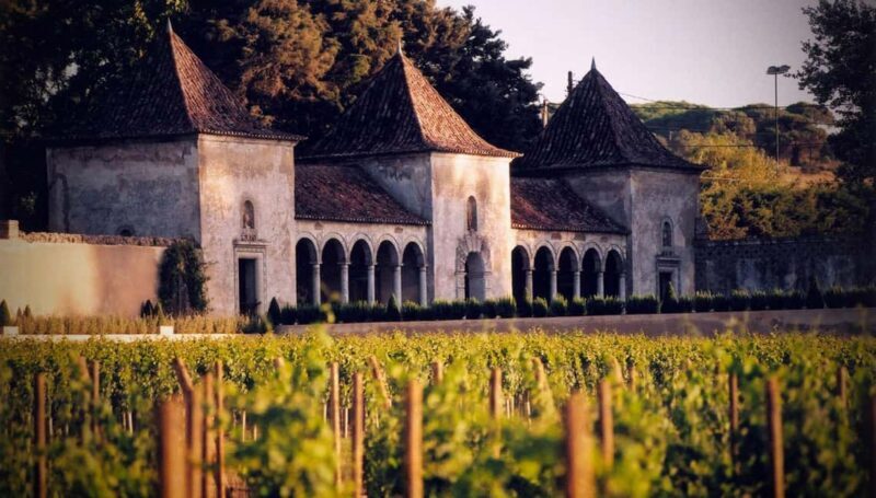 From Lisbon: Serra da Arrábida, Sesimbra, and Setúbal Wines - From Lisbon: Serra da Arrábida, Sesimbra, and Setúbal Wines — An Authentic Day Out