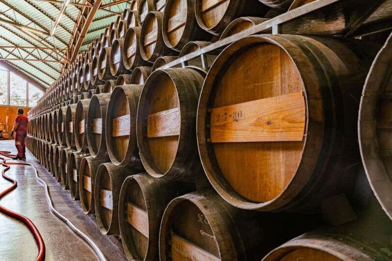 From Lisbon: Serra da Arrábida, Sesimbra, and Setúbal Wines - FAQ