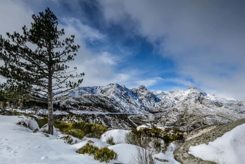 From Lisbon: Serra da Estrela Day Trip with Guide - An In-depth Look at the Serra da Estrela Day Trip