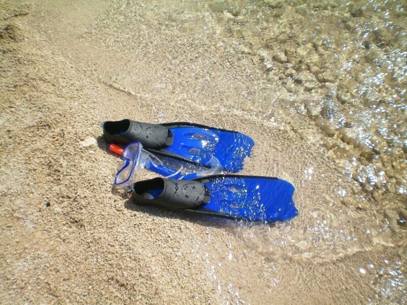 From Lisbon: Sesimbra Wild Beach Tour - Key Points