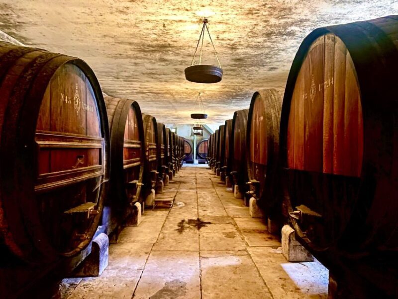 From Lisbon: Setúbal & Arrábida Wine Tour with Lunch - Is This Tour Worth Your Time and Money?