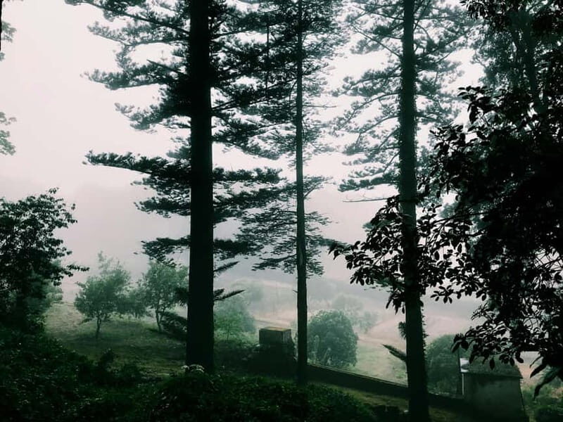 From Lisbon: Shared Sintra Tour with a Local Guide - A Deep Dive Into the Experience