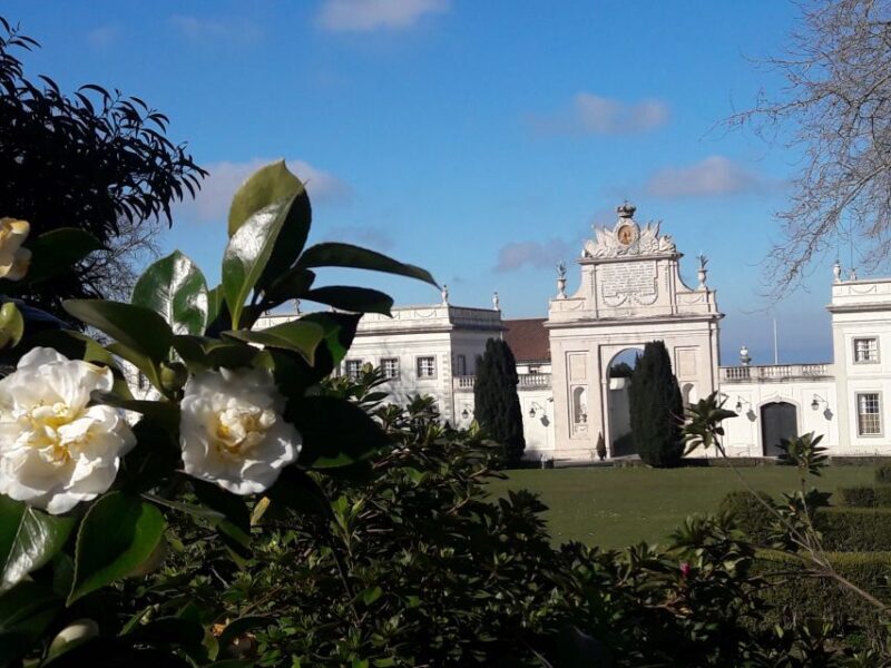From Lisbon: Sintra & Cascais PRIVATE Tour - Frequently Asked Questions