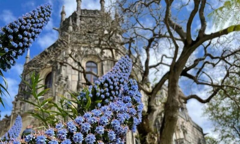 From Lisbon: Sintra, Pena Palace and Regaleira Day Trip - Final Thoughts