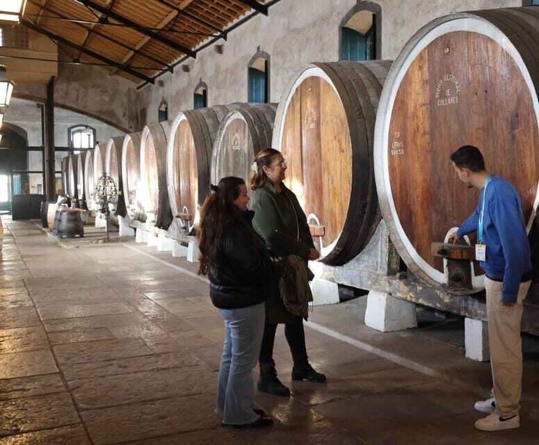 From Lisbon: Sintra, Pena Palace, Cascais and Wine Tasting - Key Points