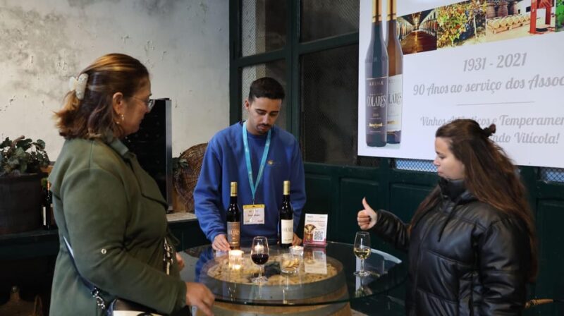 From Lisbon: Sintra, Pena Palace, Cascais and Wine Tasting - Final Thoughts: Is This Tour Right for You?