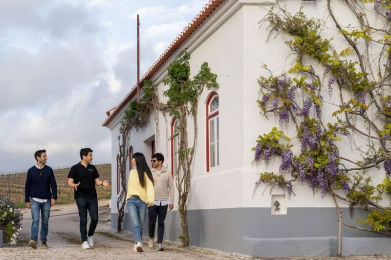 From Lisbon: Sintra & Pena Palace Day Trip with Wine Tasting - Key Points