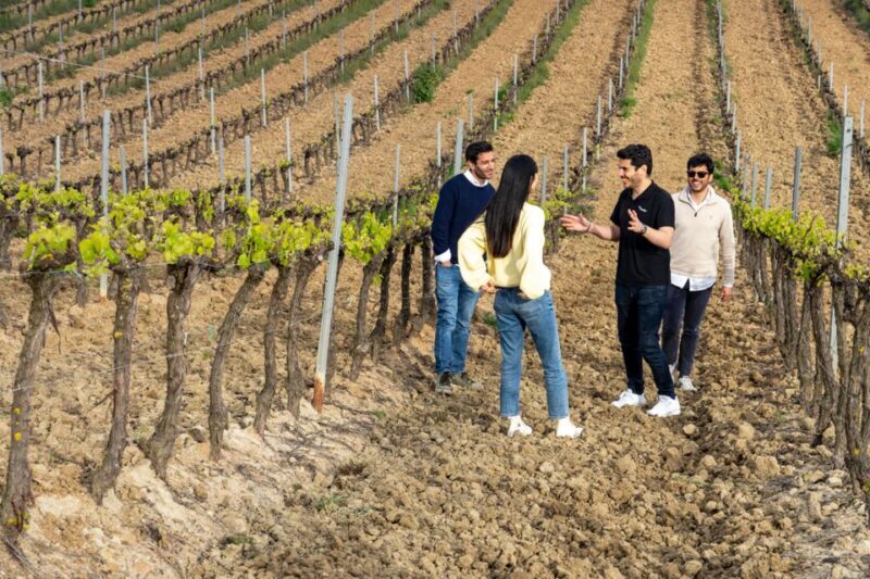From Lisbon: Sintra & Pena Palace Day Trip with Wine Tasting - Discovering Sintra and Pena Palace: A Tour for Curious Travelers