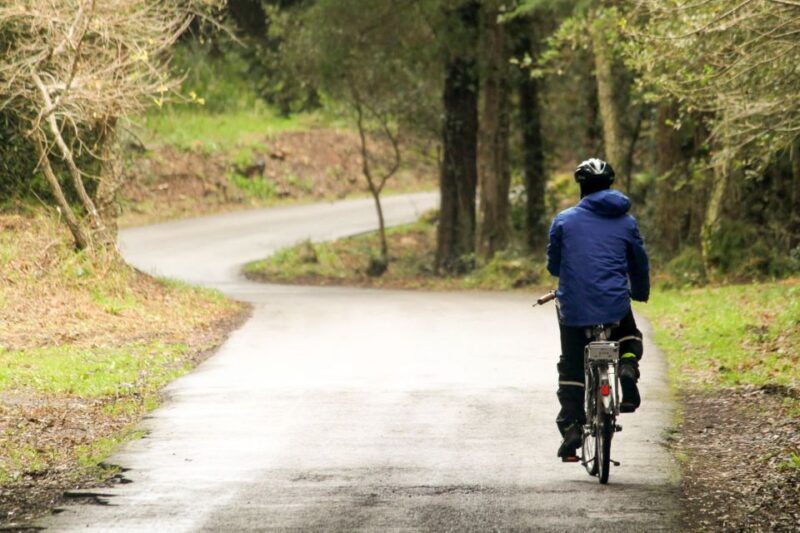 From Lisbon: Sintra to Cascais Full-Day Guided E-Bike Tour - Who Is This Tour Best For?